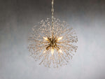 Dandelion Whimsical Crystal Round Chandelier