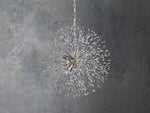 Dandelion Whimsical Crystal Round Chandelier