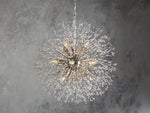 Dandelion Whimsical Crystal Round Chandelier